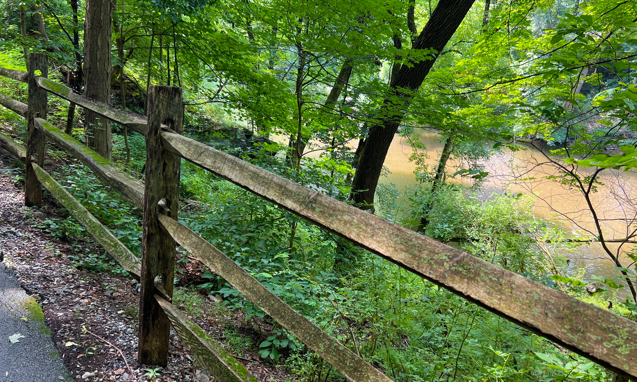 Taking it Easy on the East Brandywine Trail