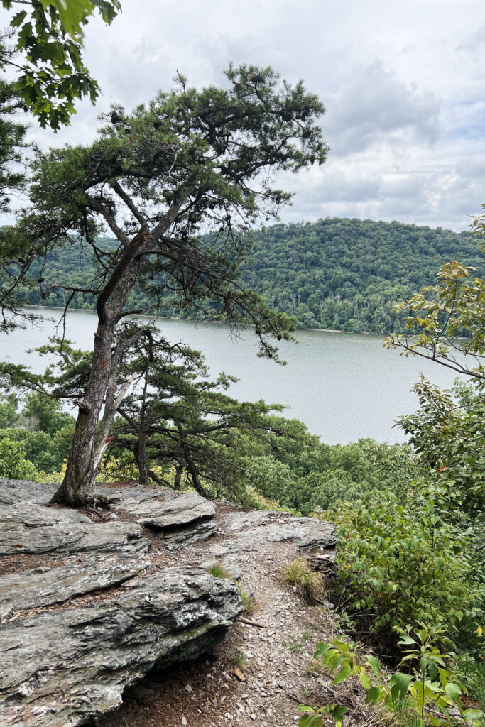 Overlook from Conestoga Trail