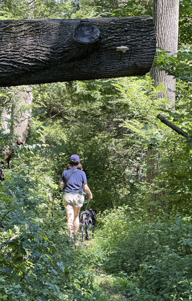 Suzanne and Theo hiking the Horse-shoe trail