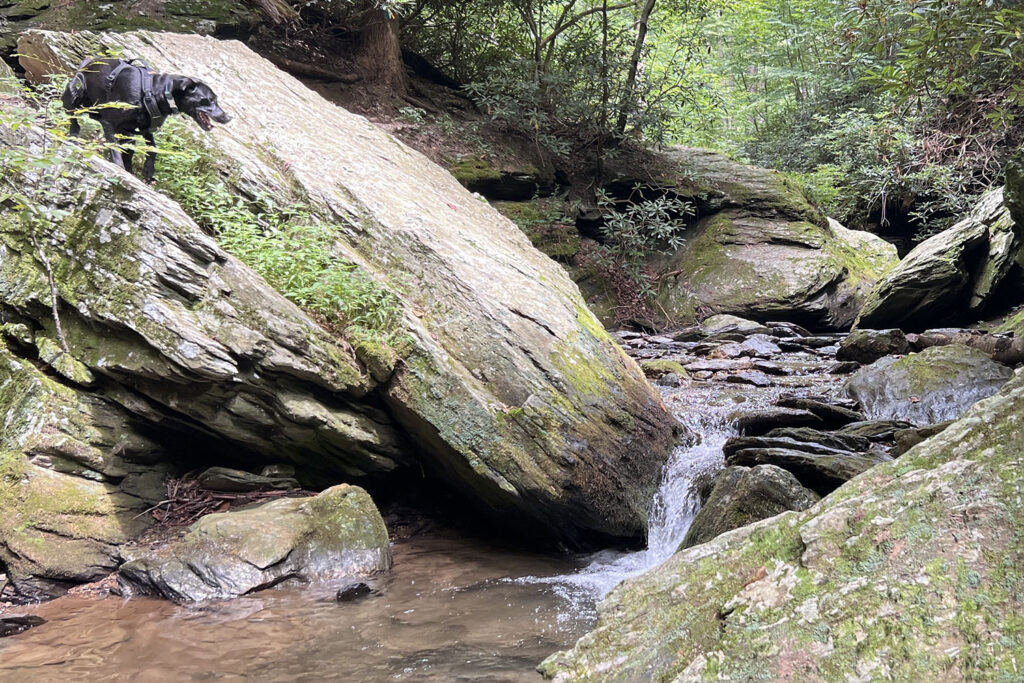 Theo next to Kelly's Run waterfall