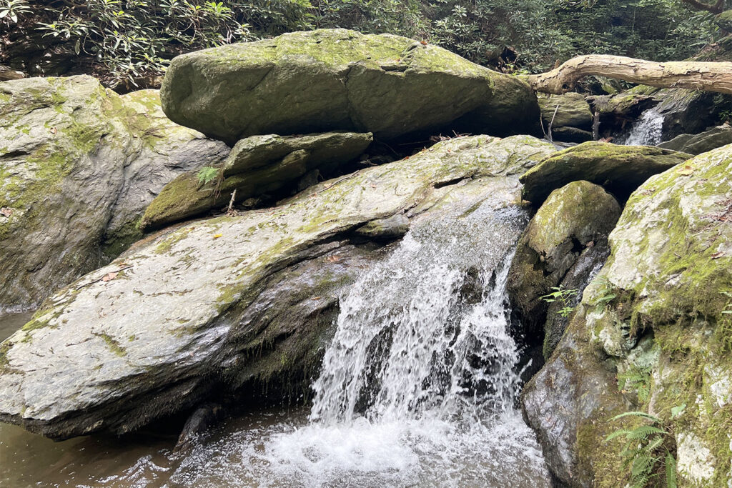 Waterfall on Kelly's Run