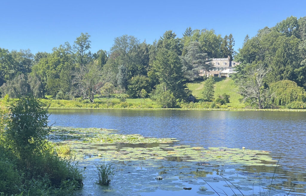 Rodebaugh Dam pond