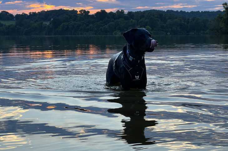 Sunset at Marsh Creek