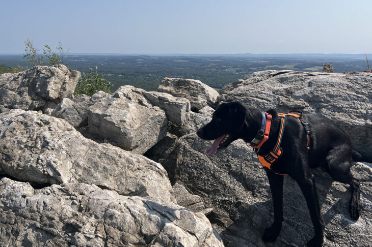 No Water for our AT Hike