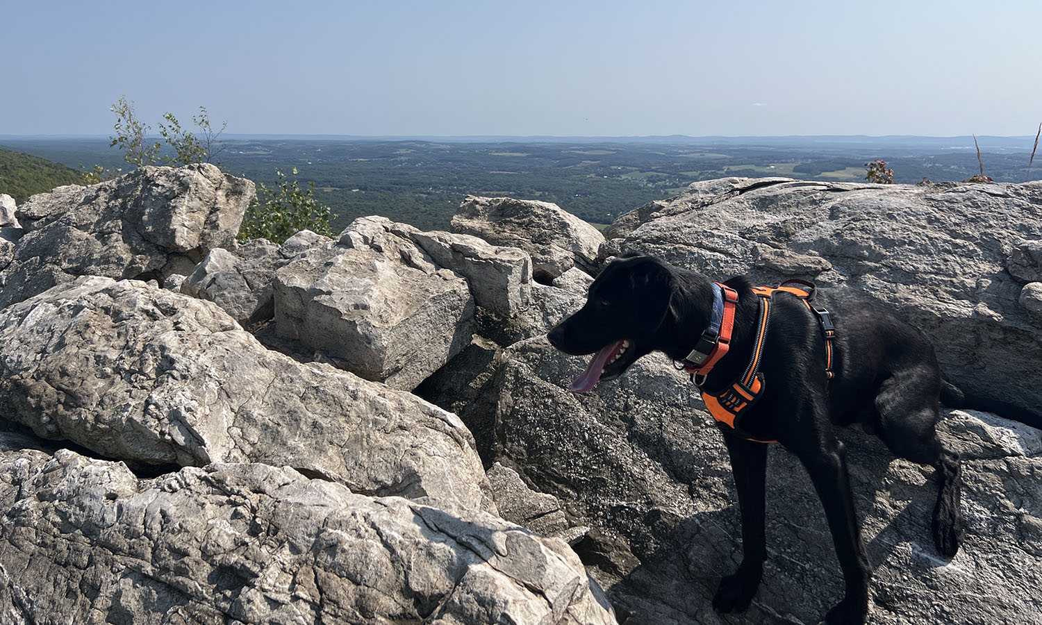 No Water for our AT Hike